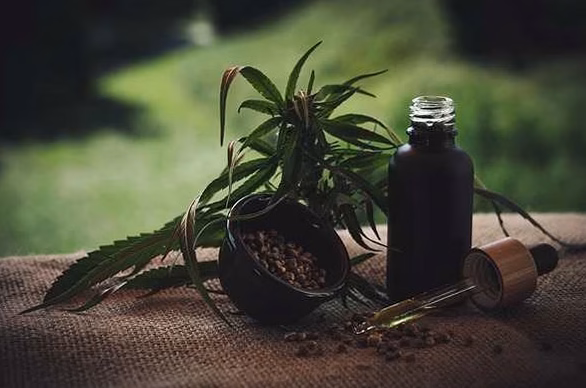 Plantes médicinales : quelles vertus naturelles